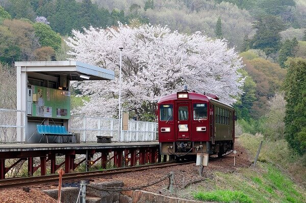 群馬県 ショッピング枠 現金化 買取 業者