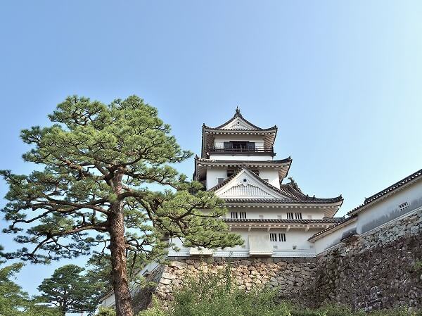 高知県 ショッピング枠 現金化 買取 ショップ 換金 売買 店舗