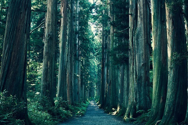 長野県 ショッピング枠 現金化 買取 業者